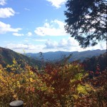 三頭山登山！！紅葉と森林セラピーロードに癒やされる旅